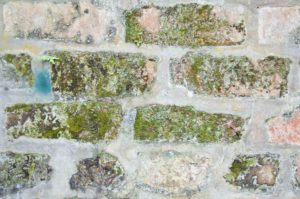 algebehandling-mursten-facader